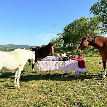 Homestay szállás Domaine D'equital'or Cressanges